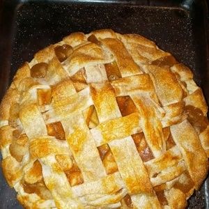 Meet your Posher, Gloria